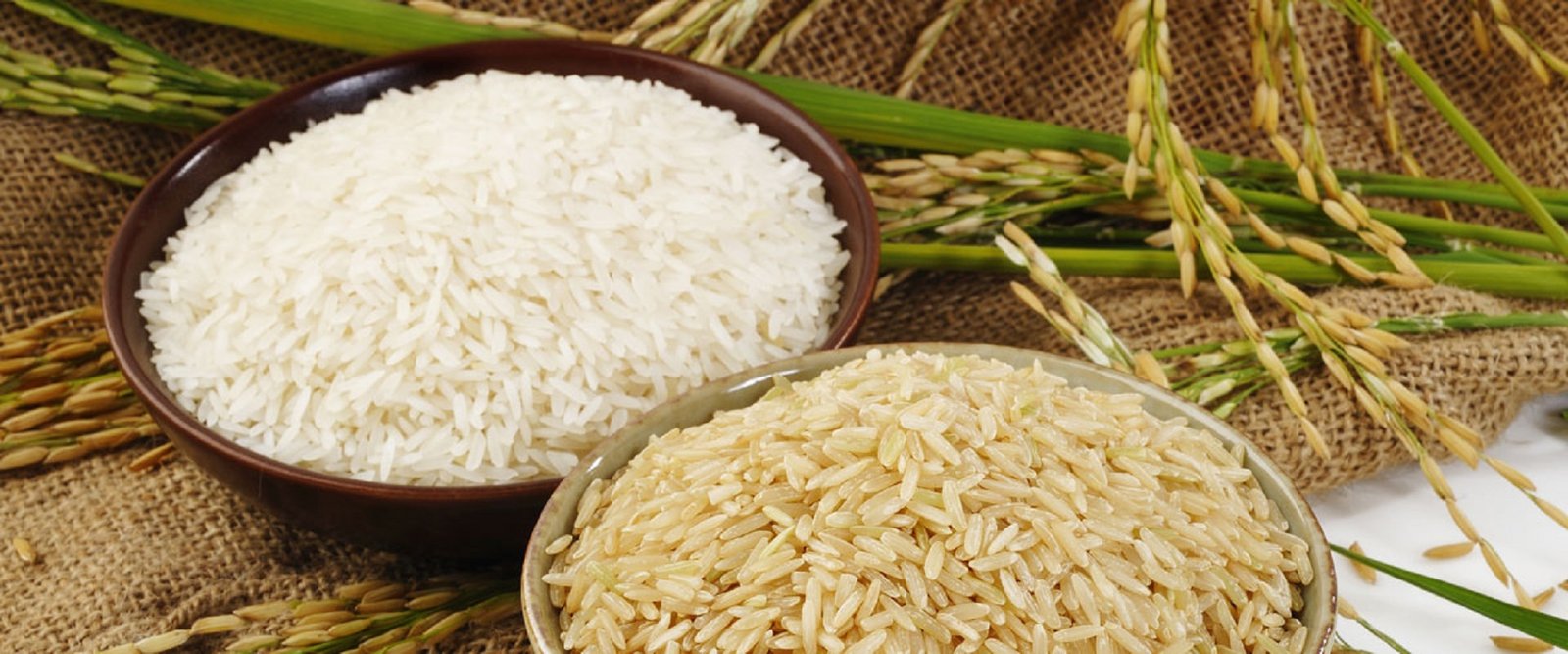 From Our Production Line to Your Market