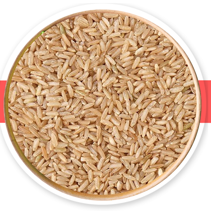Brown Rice manufacturer and exporter in India